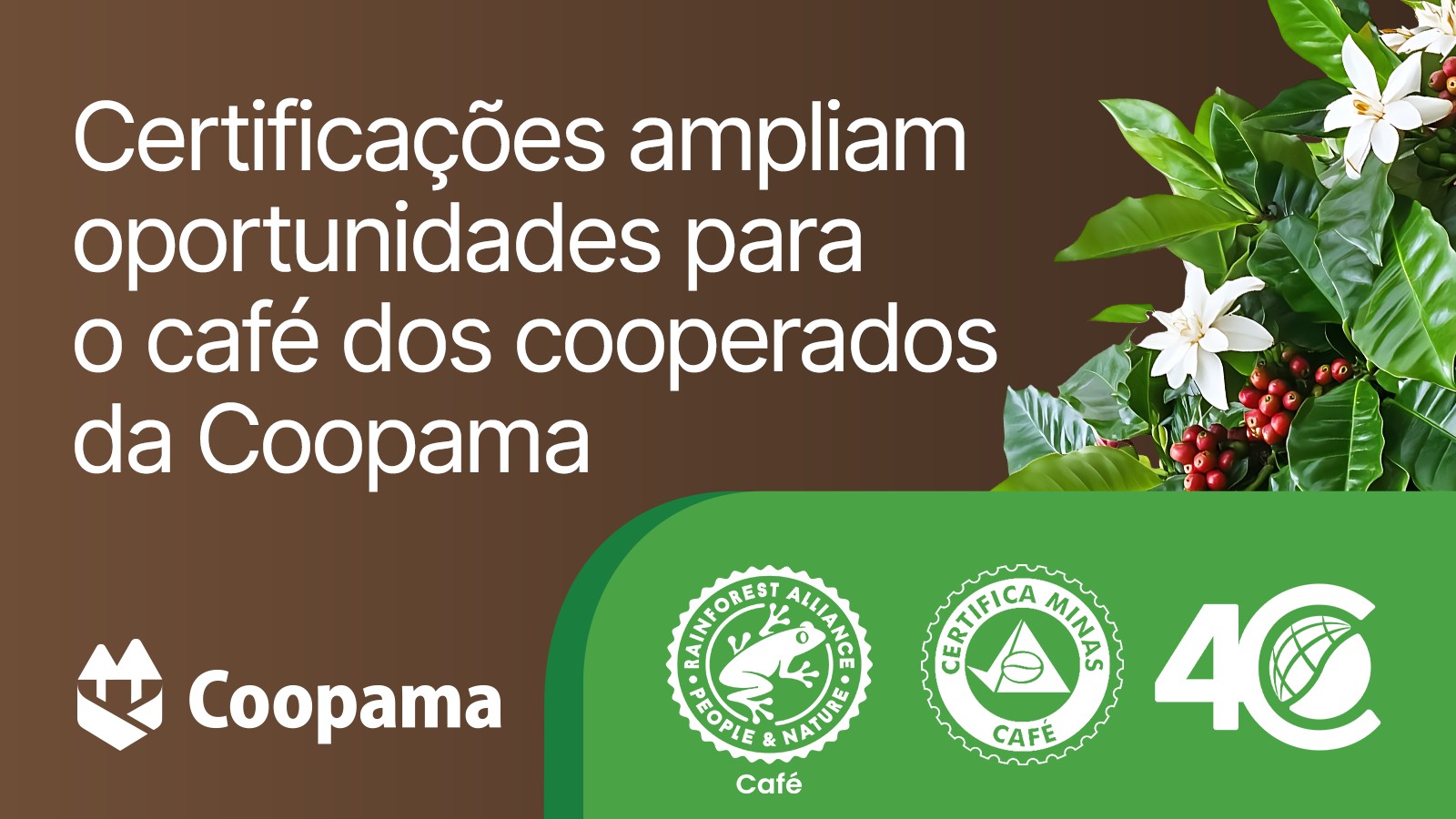 Certificações ampliam oportunidades para o café dos cooperados da Coopama 