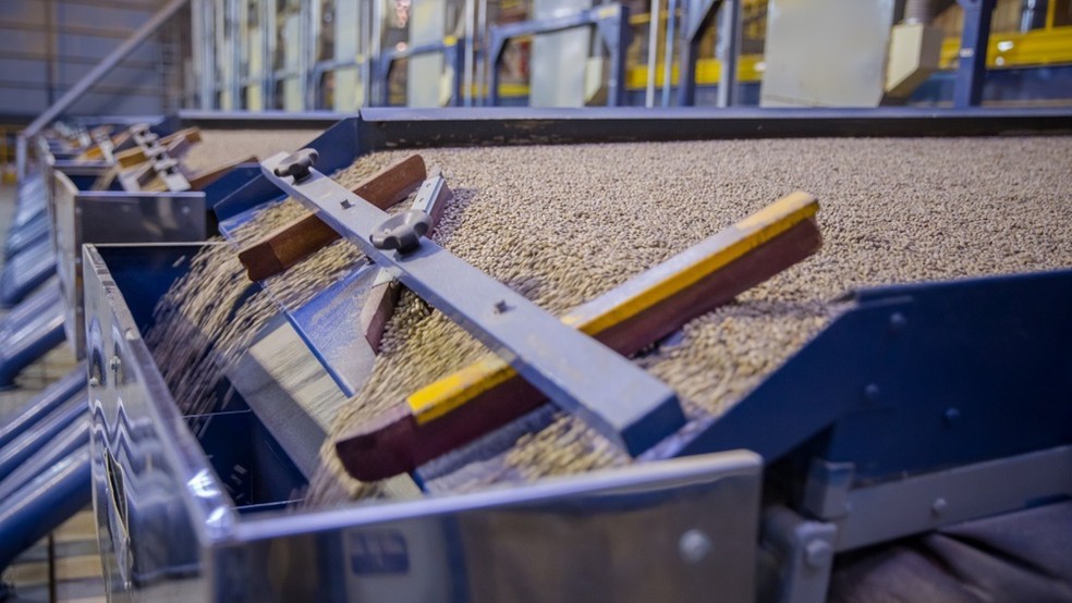 Usinas preparam os cafés para formação dos blends e envio à exportação — Foto: Crédito: Divulgação.