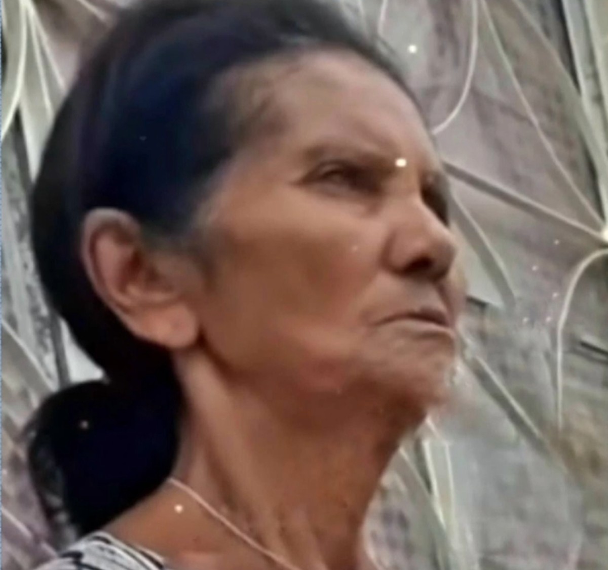 Idosa morre após ser baleada dentro de casa em São Miguel dos Campos, AL