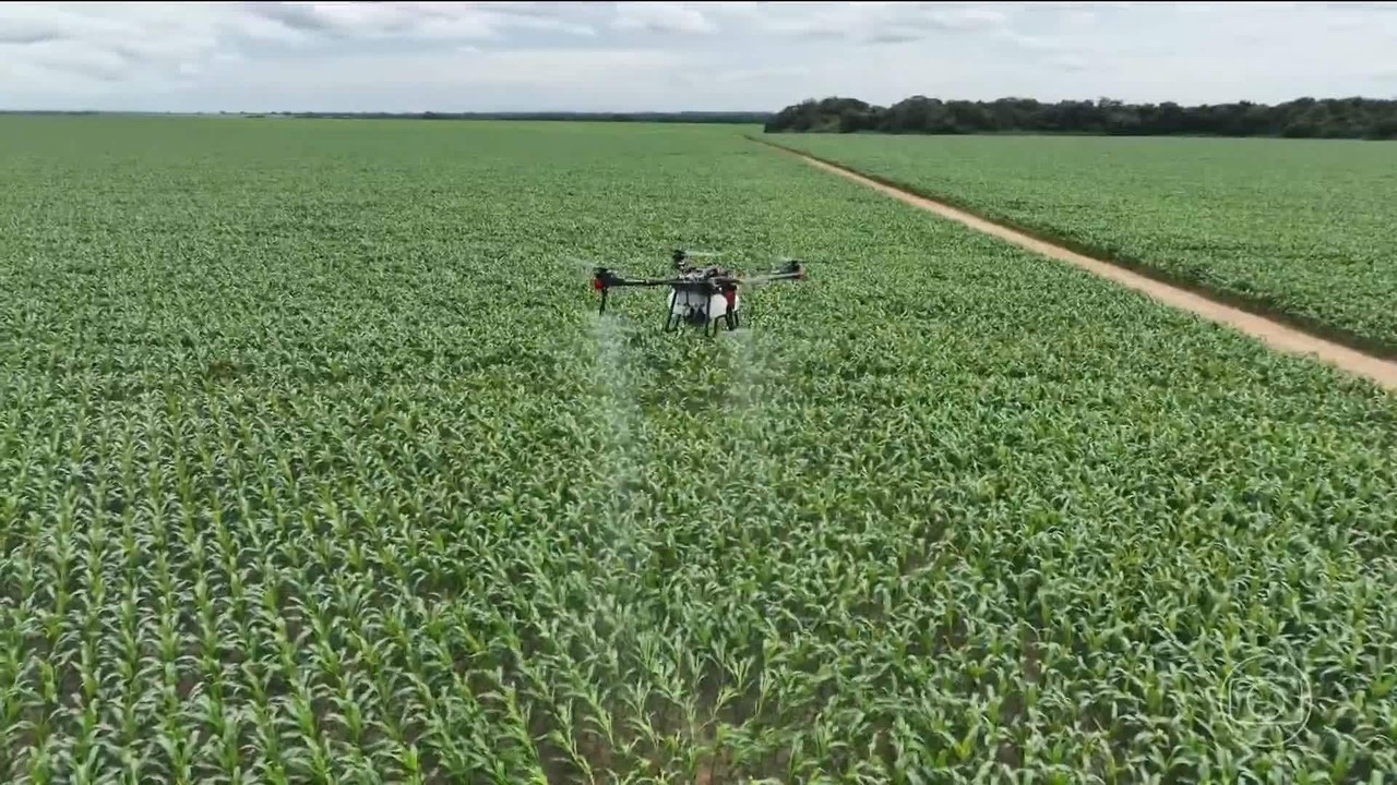 Agricultores apostam em bioinsumos com fórmulas naturais para ajudar a proteger lavouras