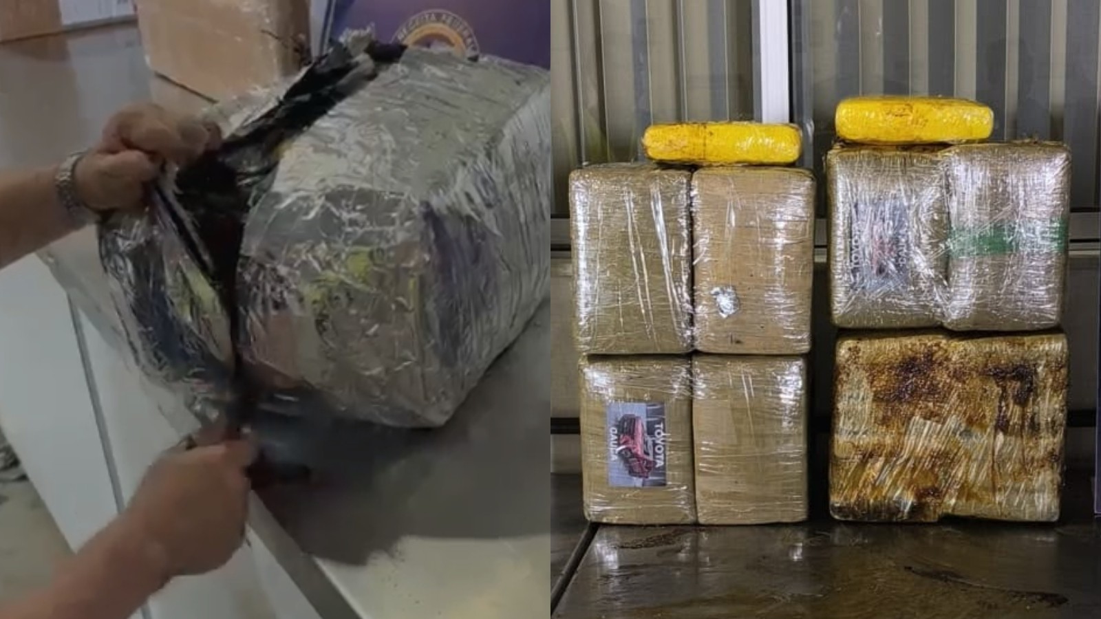 Receita Federal apreende 60 kg de skunk em pacotes com café, óleo e outros materiais em Fortaleza