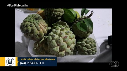 Telespectadores participam do Bom Dia Tocantins desta sexta-feira (20)