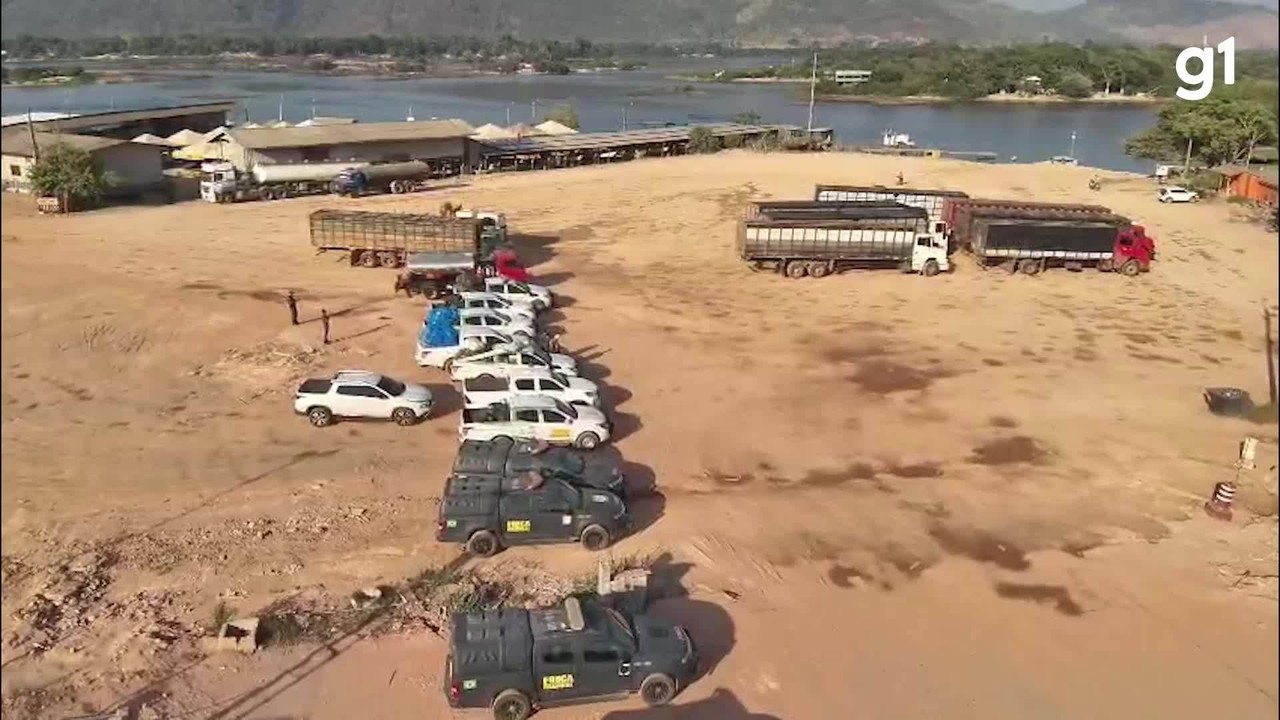 ICMBio combate criação ilegal de gado em unidade de conservação no Pará