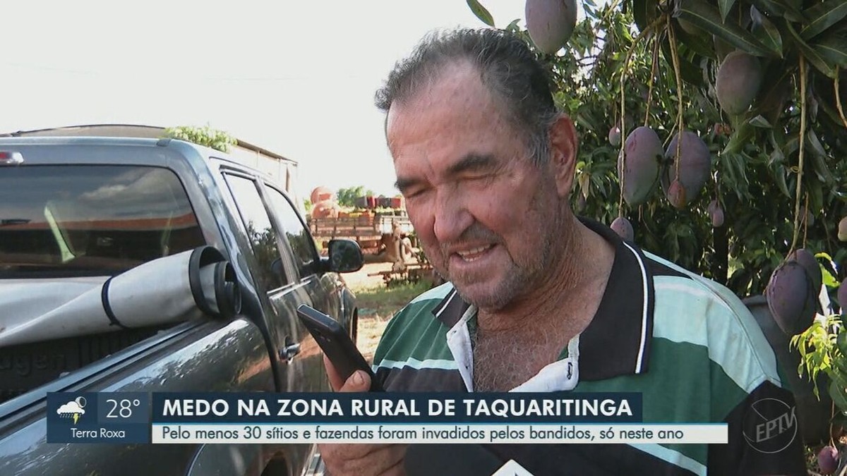 Un producteur rural qui a reçu des menaces de mort lors d’un entretien dit craindre une nouvelle attaque de voleurs à Taquaritinga, SP |  Ribeirão Preto et Franca