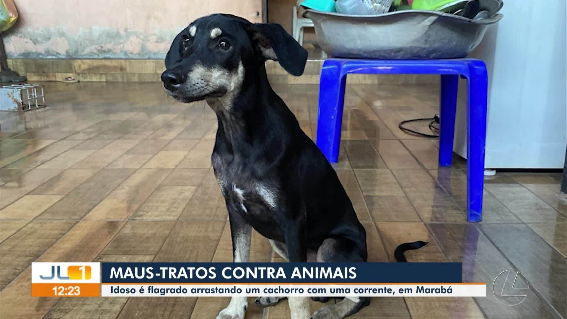 VÍDEOS: JL1 de sexta-feira, 11 de julho de 2025