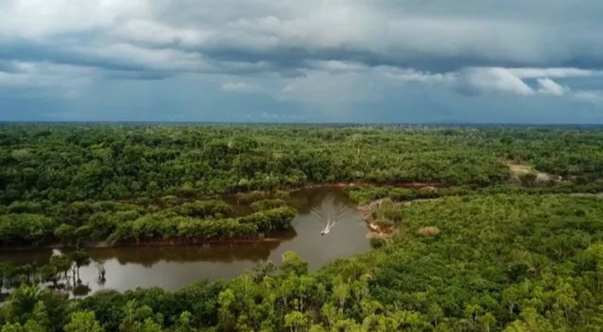 Confira O Terra Da Gente Na íntegra 2603 Terra Da Gente G1 8675