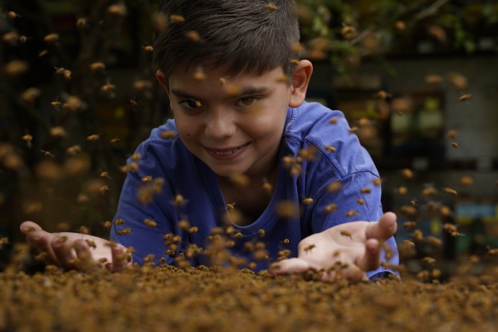 Geraldo Enrico Tigre Herzog, 11 anos, menino autista que encontrou nas abelhas uma forma de se socializar com o mundo — Foto: Ricardo Medeiros/Rede Gazeta