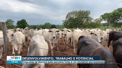 Araguaína faz aniversário e se destaca pela pecuária forte e um comércio em expansão