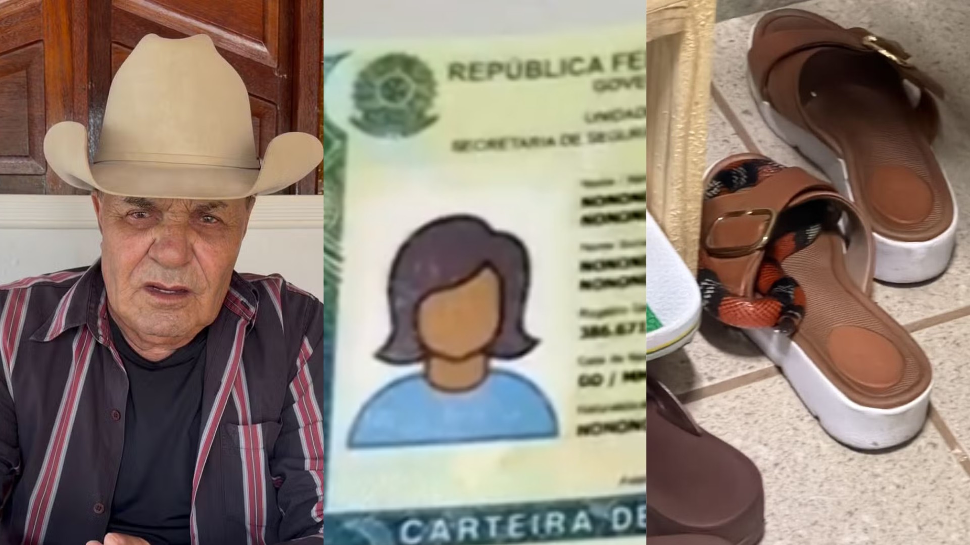 Você viu? Gino lamenta morte de Rick, servidora condenada por cobrar por identidade e cobra enrolada em sapato