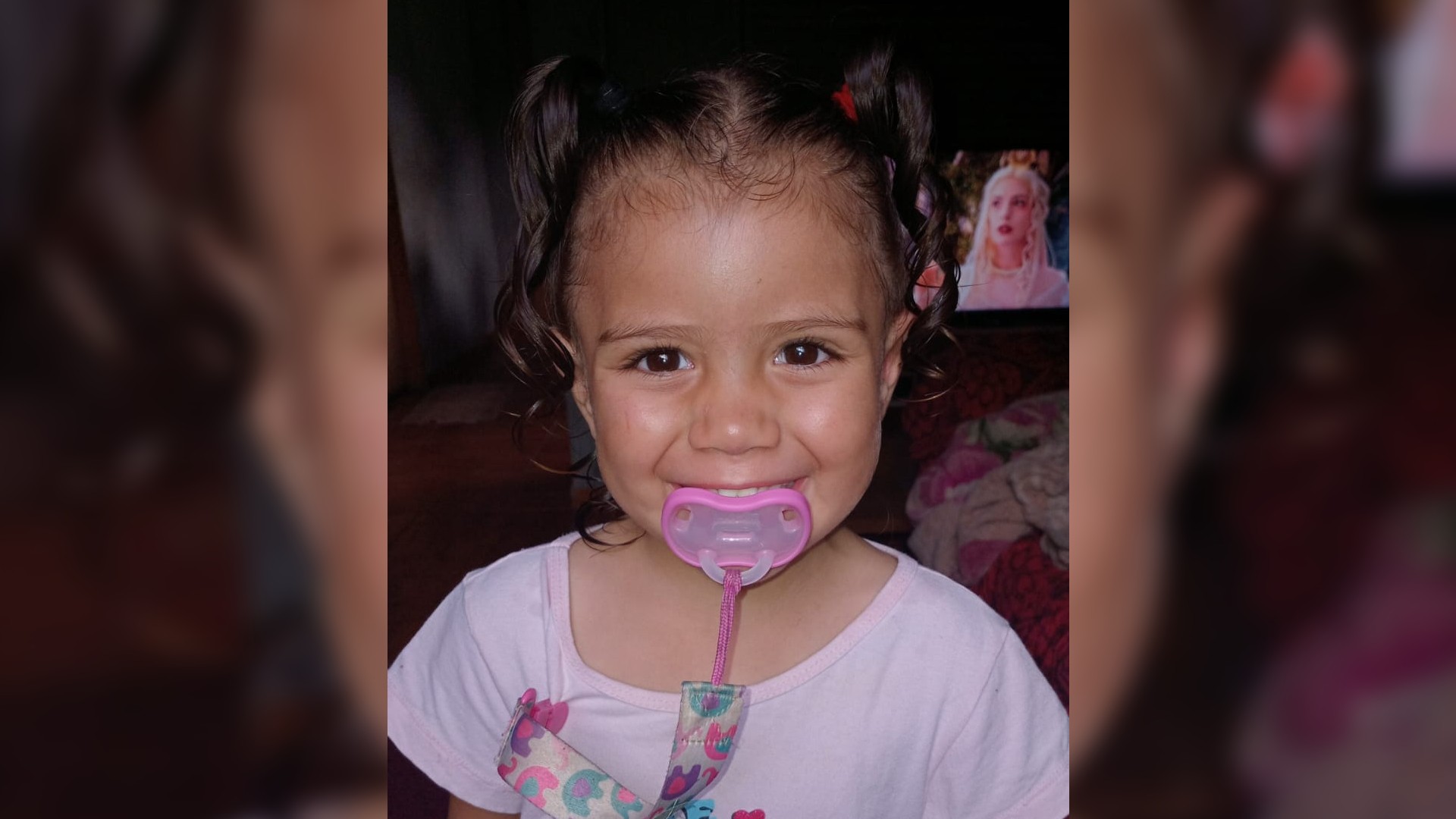 Um ano depois, família diz que bugio que atacou crianças no interior de SP convive 'em harmonia' com moradores