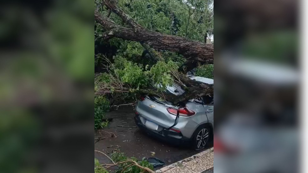 1 de 2
&Aacute;rvore de grande porte cai em cima de carro durante temporal em Tup&atilde; (SP) &mdash; Foto: Arquivo pessoal