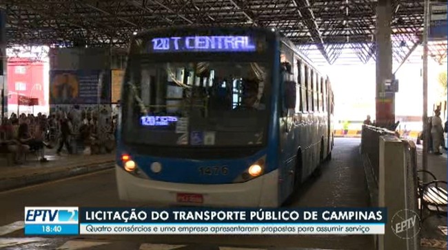 Câmara aprova em definitivo projeto que amplia sanções por maus-tratos a animais em Campinas