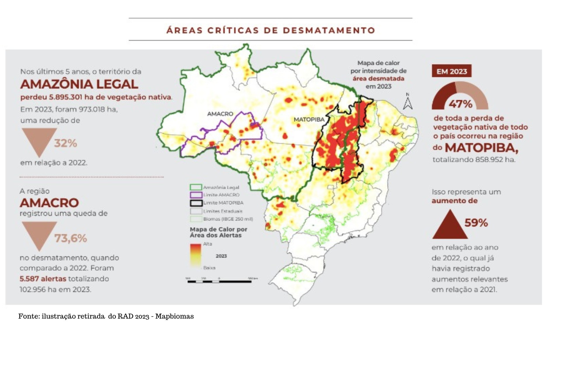 Tocantins perdeu mais de 26 hectares de mata nativa por hora em 2023, diz relatório