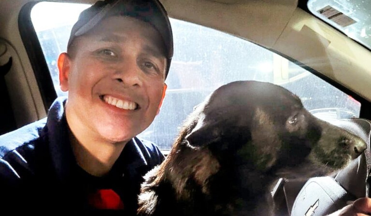 Cães da Guarda de Piracicaba são adotados por agentes, bombeiro e cidade vizinha após fechamento de canil