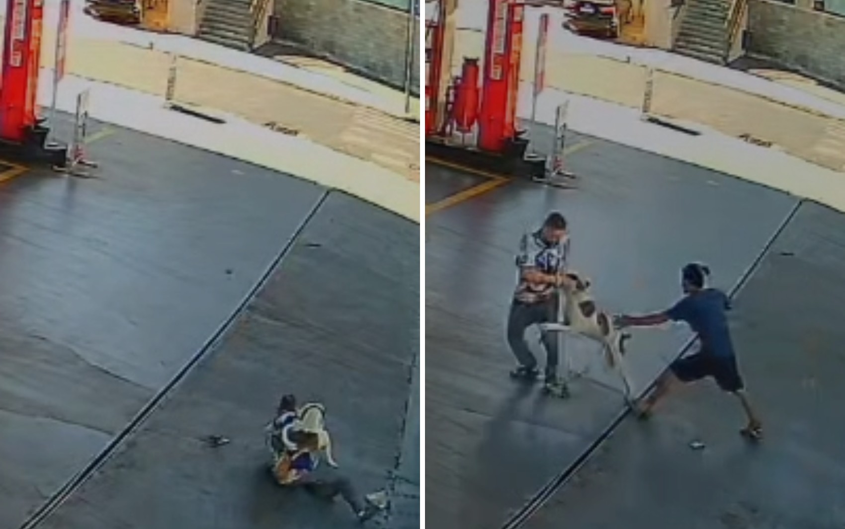 Morador de rua manda cão atacar deficiente auditivo depois de vítima não entender conversa, diz guarda