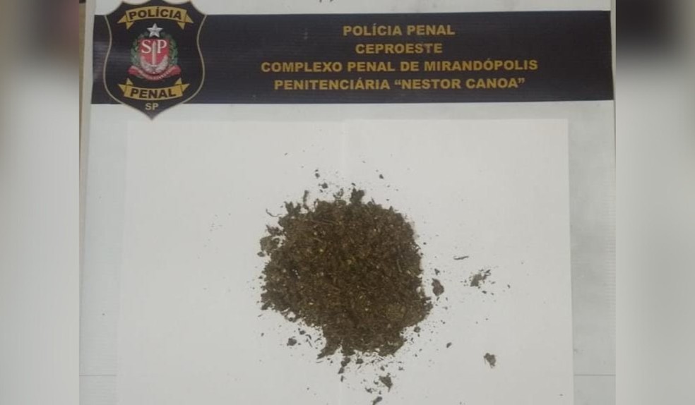 Mulher de detento &eacute; flagrada com droga ao tentar entrar na Penitenci&aacute;ria I de Mirand&oacute;polis &mdash; Foto: Pol&iacute;cia Penal/Divulga&ccedil;&atilde;o
