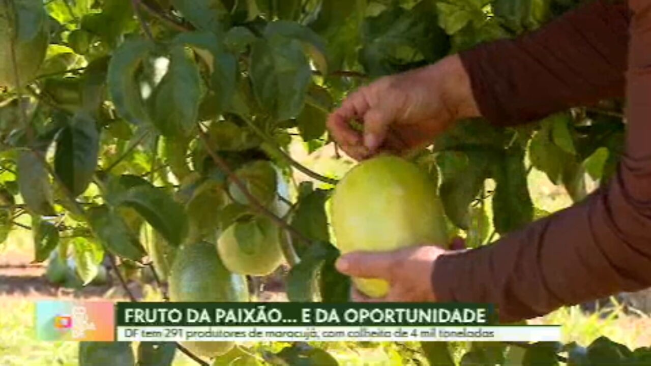 VÍDEOS: Globo Comunidade DF de domingo, 25 de maio de 2025