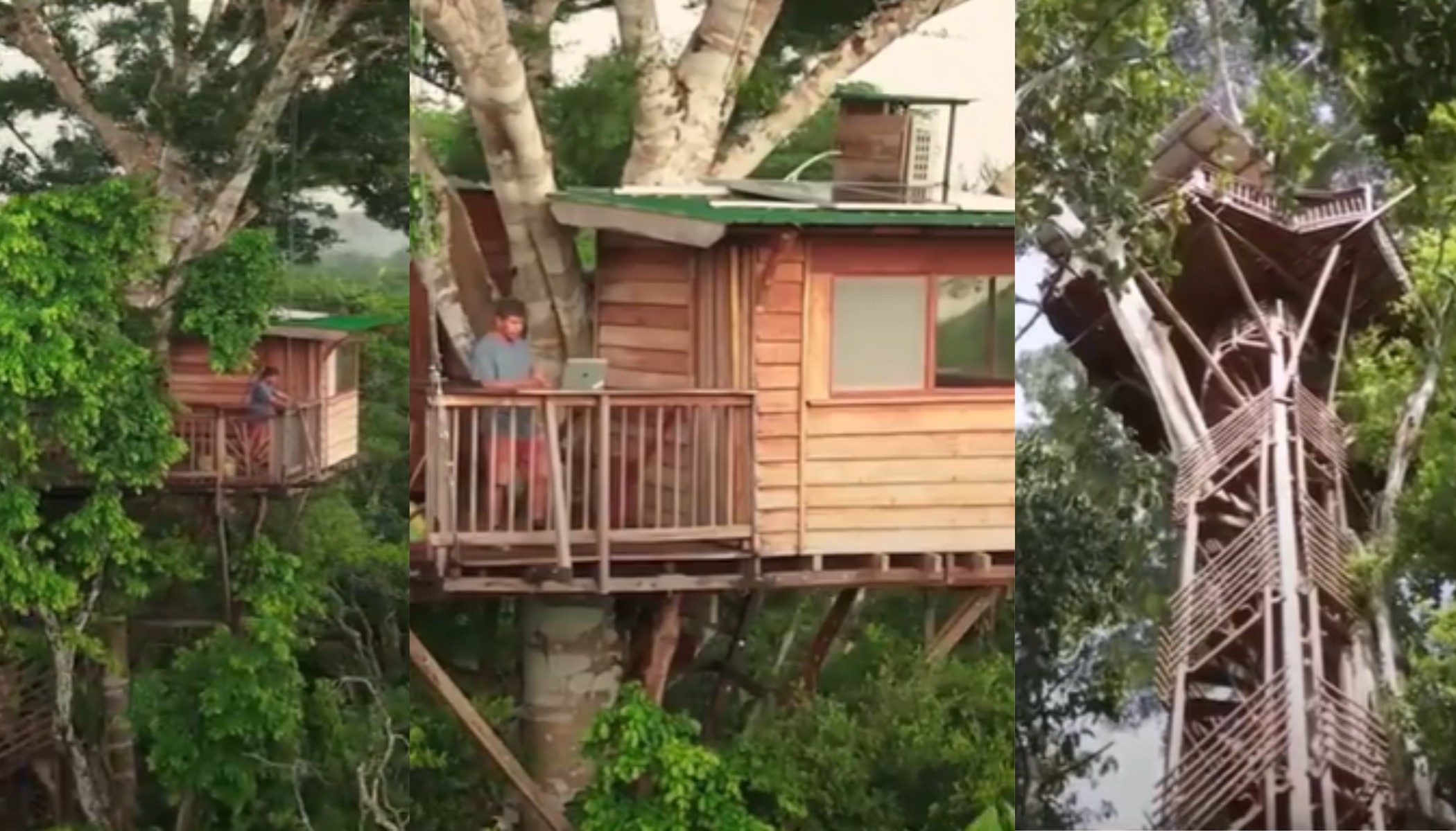 Amazônia: uma sala de aula no topo da árvore