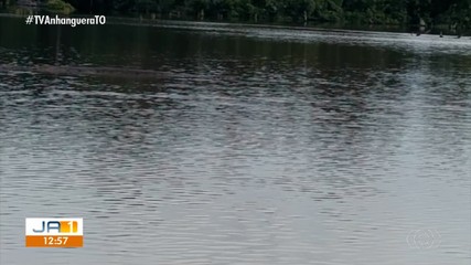 Cobra é avistada por moradora na zona rural de Miracema