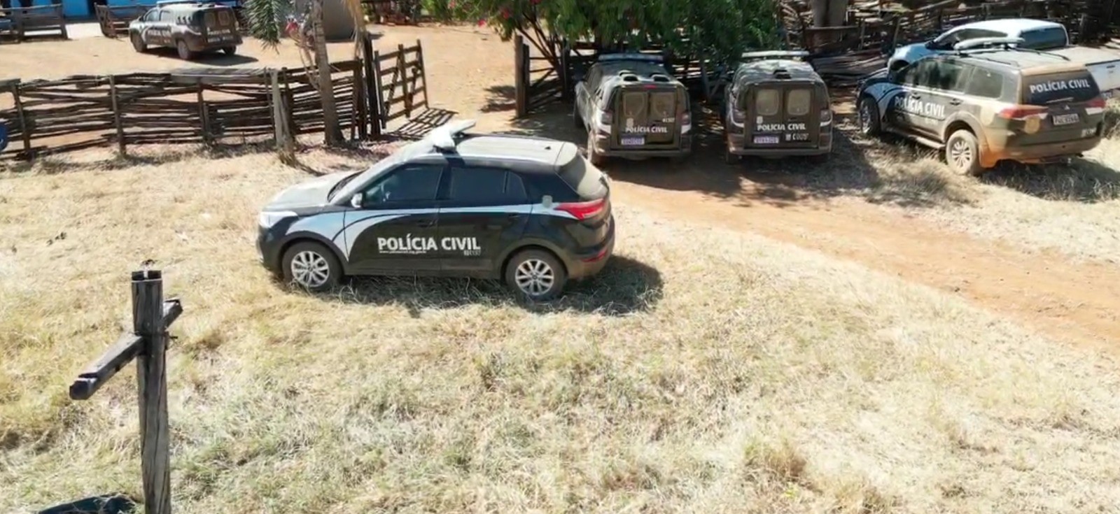 Golpe de venda de gado em MG fez 15 vítimas e causou prejuízo de quase ...