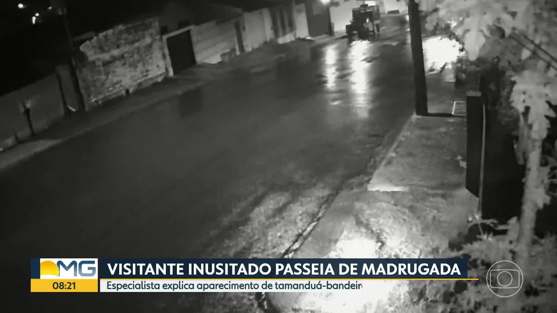 VÍDEOS: Bom Dia Minas de terça-feira, 20 de janeiro de 2026