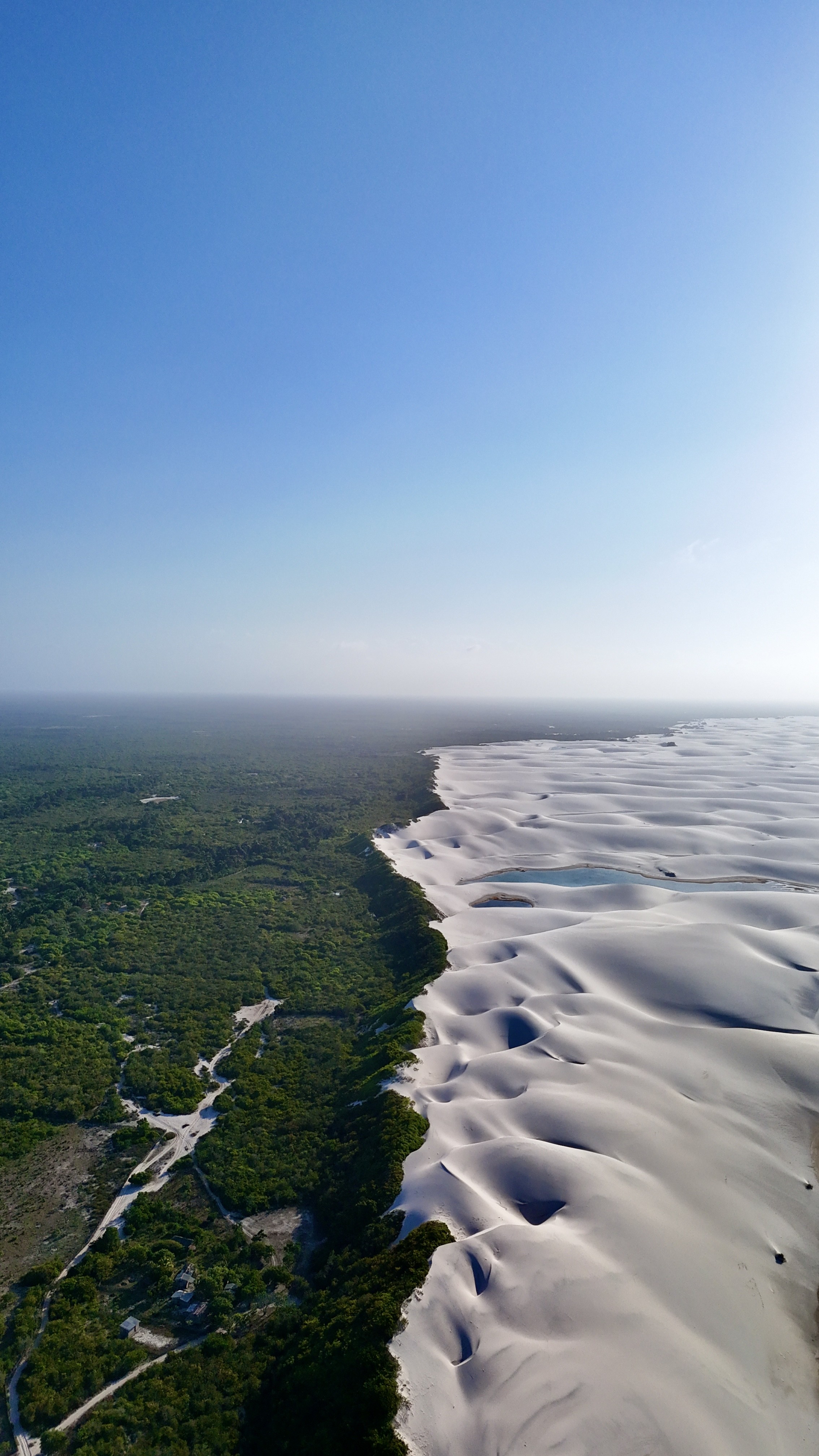 'Oásis brasileiro': foto de contraste entre vegetação e dunas dos Lençóis Maranhenses viraliza nas redes 