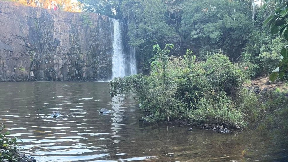 Banhista é salvo ao se afogar e ficar 1 minuto submerso em cachoeira de Uberlândia