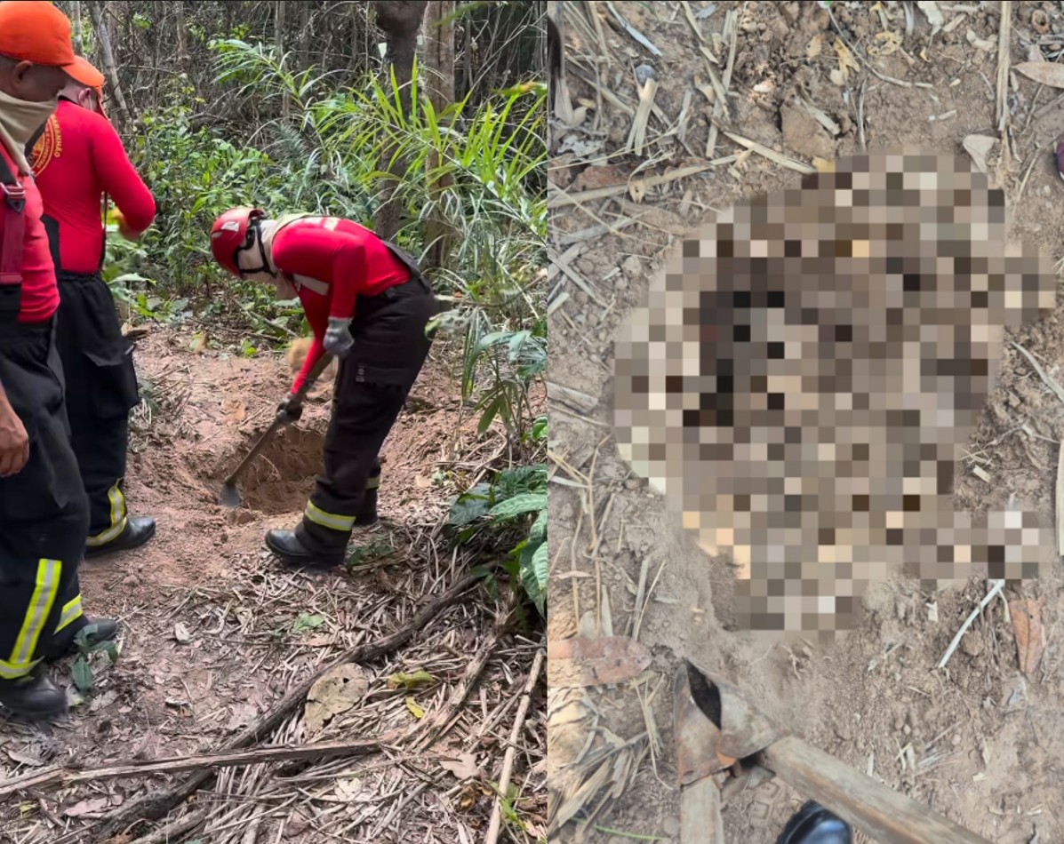 Dois corpos esquartejados são encontrados em área de vegetação, em Imperatriz, no MA