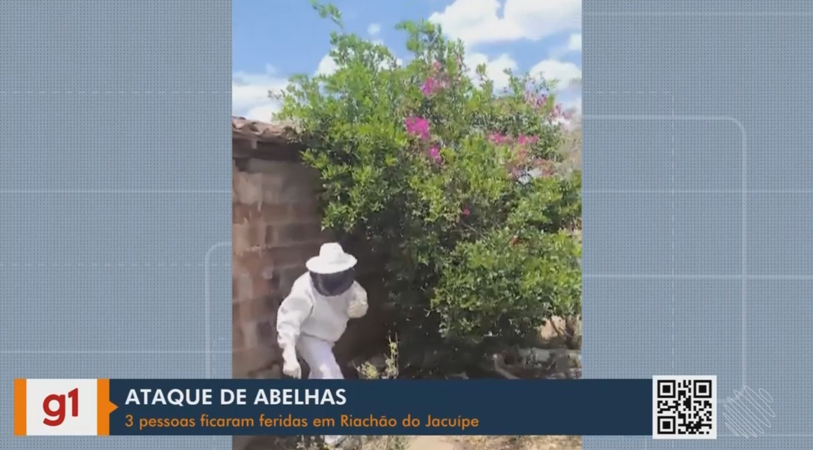 Vídeos do g1 e TV Subaé - sexta-feira, 7 de novembro de 2025