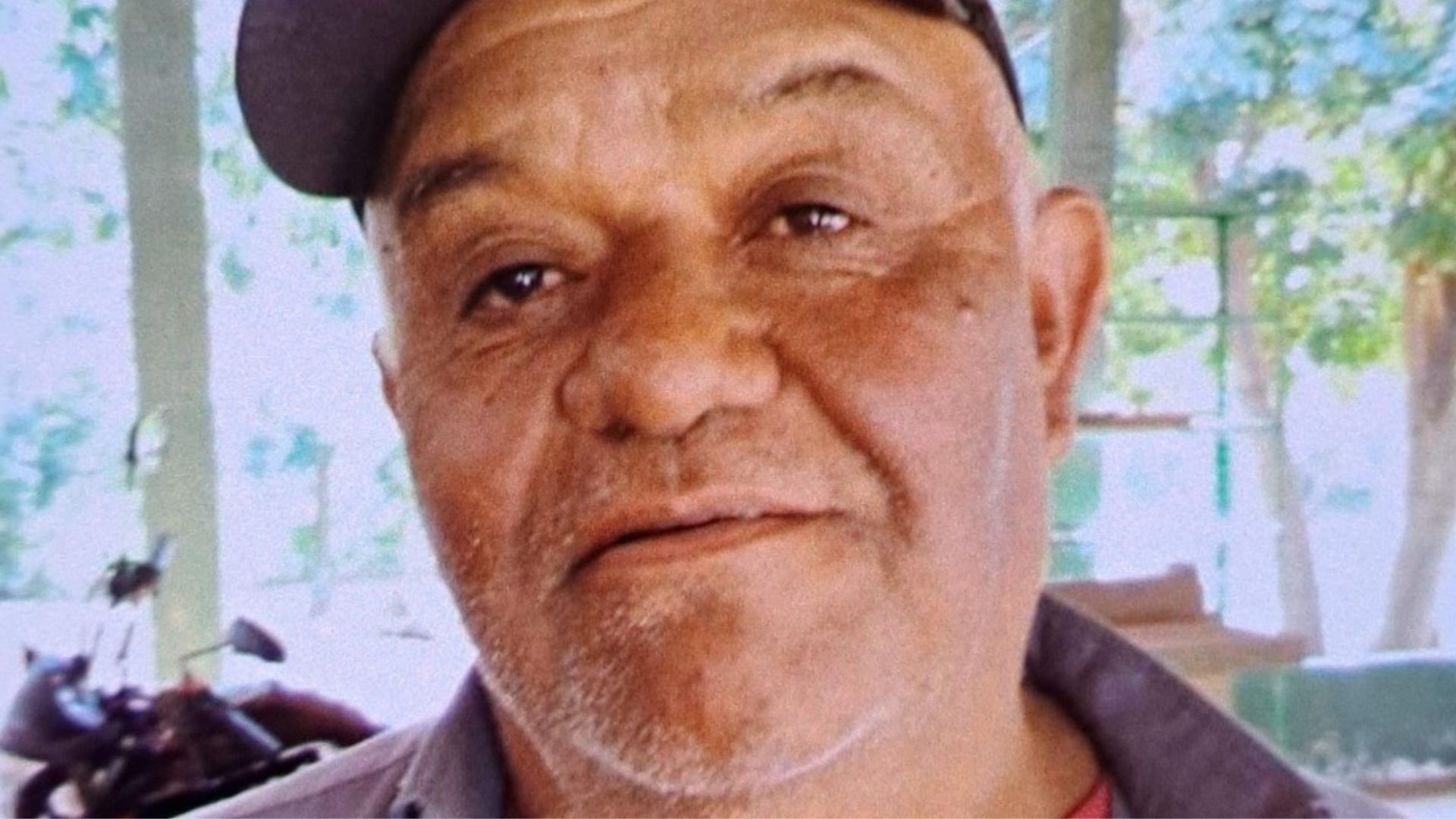 Servidor de 70 anos morre após ser atacado por enxame de abelhas em Taquaritinga, SP