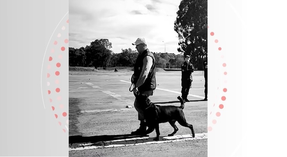 Tenente Taveira participava de curso de preparação de cães no DF — Foto: Polícia Militar
