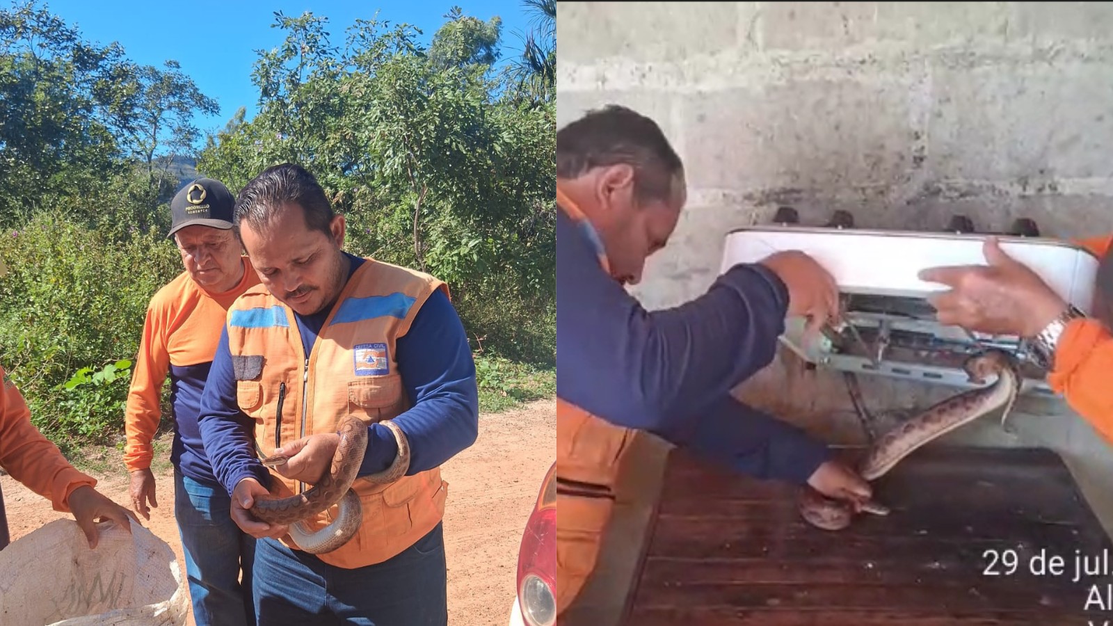 Cobra de 1,5 metro é encontrada por moradora embaixo de fogão em casa no PI