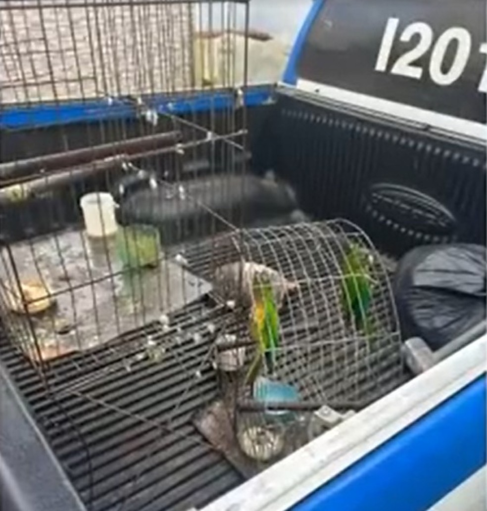 Pai de santo é preso no sudoeste da Bahia por suspeita de tentativa de homicídio — Foto: Reprodução/TV Bahia