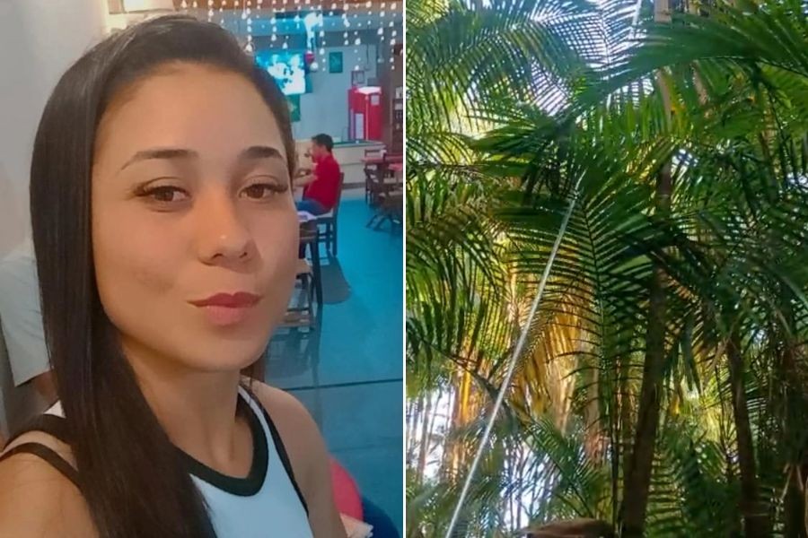 Jovem morre após sofrer descarga elétrica durante colheita de açaí em fazenda no interior de SP