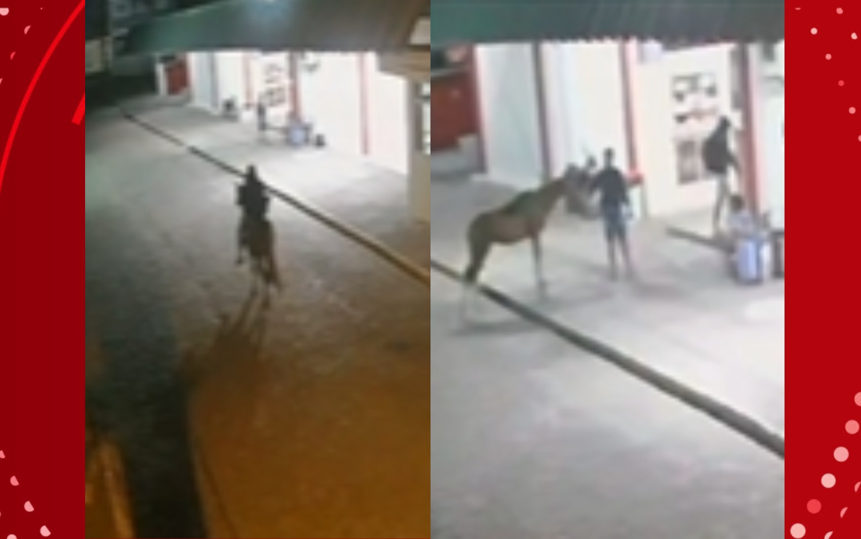 VÍDEO: Homem rouba lanchonete montado a cavalo e obriga vítima a segurar animal no interior da Bahia