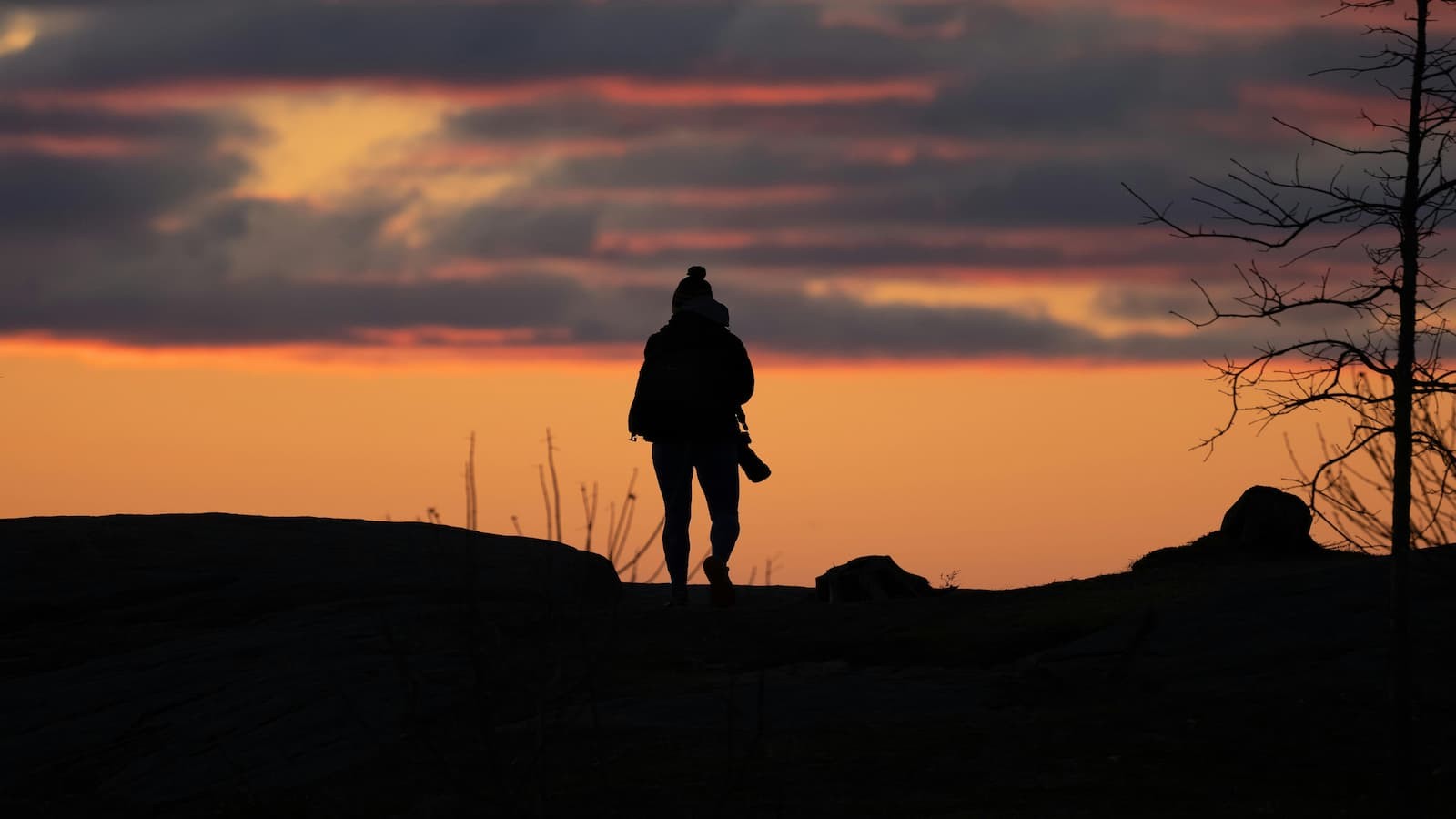 Como imagens profissionais ajudam pequenos negócios a vender mais online