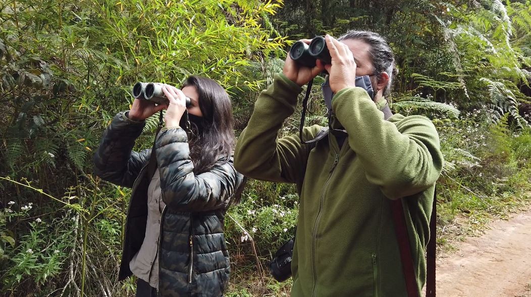 Avistar 2025: encontro brasileiro de observação de aves abre inscrições para participantes 