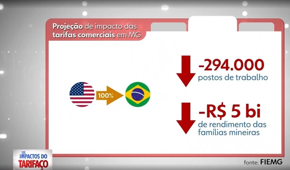 Cenário 2 - estudo Fiemg sobre possível taxação de 50% dos EUA sobre as exportações brasileiras — Foto: TV Integração/Reprodução