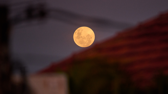 'Lua Cheia Rosa' pode ser vista hoje, mas não é rosa de verdade - Foto: (Igor do Vale/Estadão Conteúdo)
