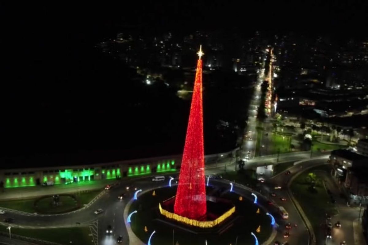 Cidade do litoral de SP tem uma das maiores árvores de Natal do Brasil; VEJA 