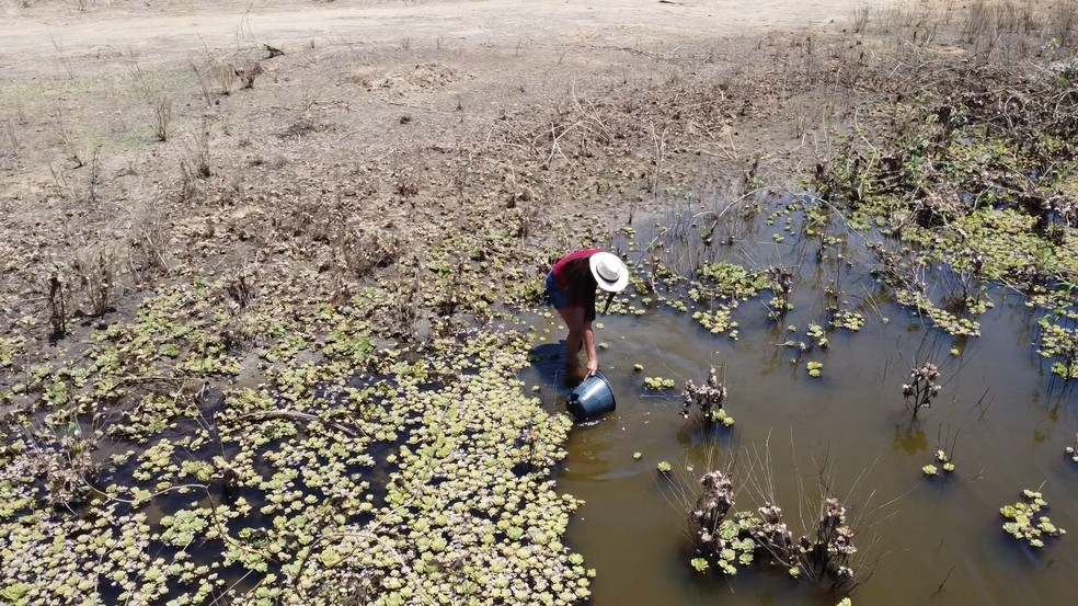 Moradora pega água suja em açude durante forte seca no Piauí — Foto: Reprodução/TV Clube