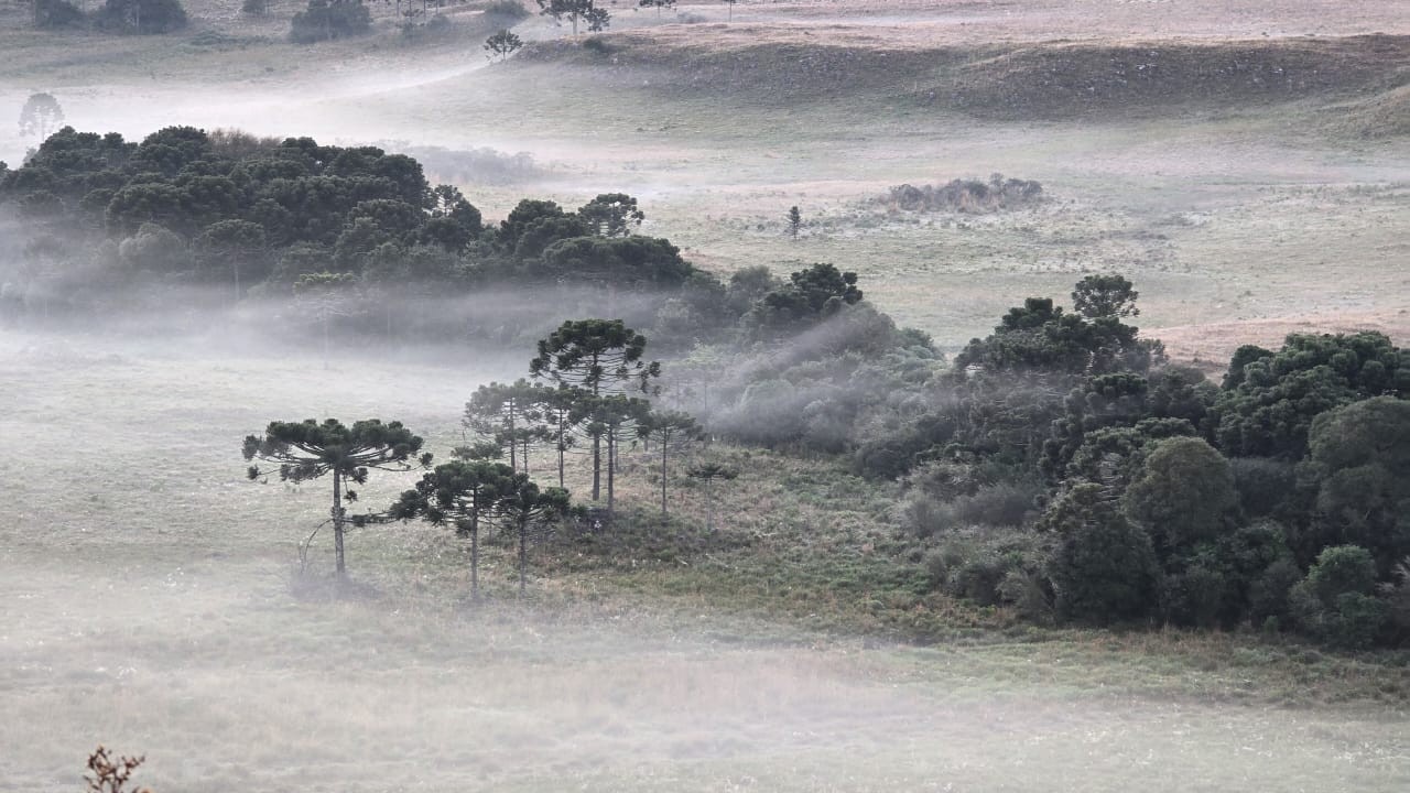 Nevoeiro e geada na paisagem do Vale da Neve, na Serra de Santa Catarina