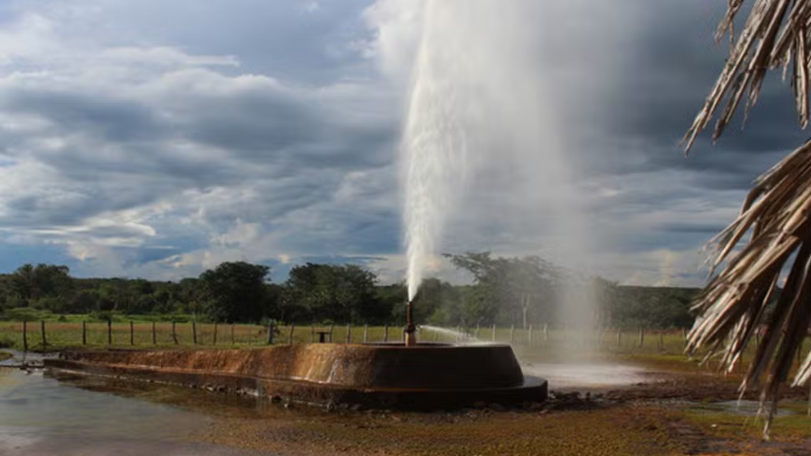 Você Não Tá Convidada pro Meu Bat Mitzvá!