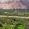 Fotos mostram enorme nuvem de poeira avançando sobre palmeiras em Dongola, no norte do país. Fenômeno é conhecido como 'haboob'.