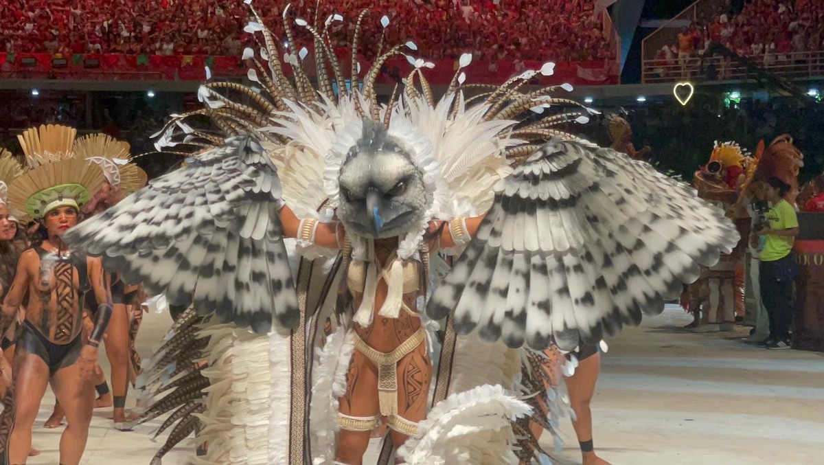 Isabel Nogueira transforms into a falcon for her second performance at the 57th Parentines Festival |  Parentins Festival