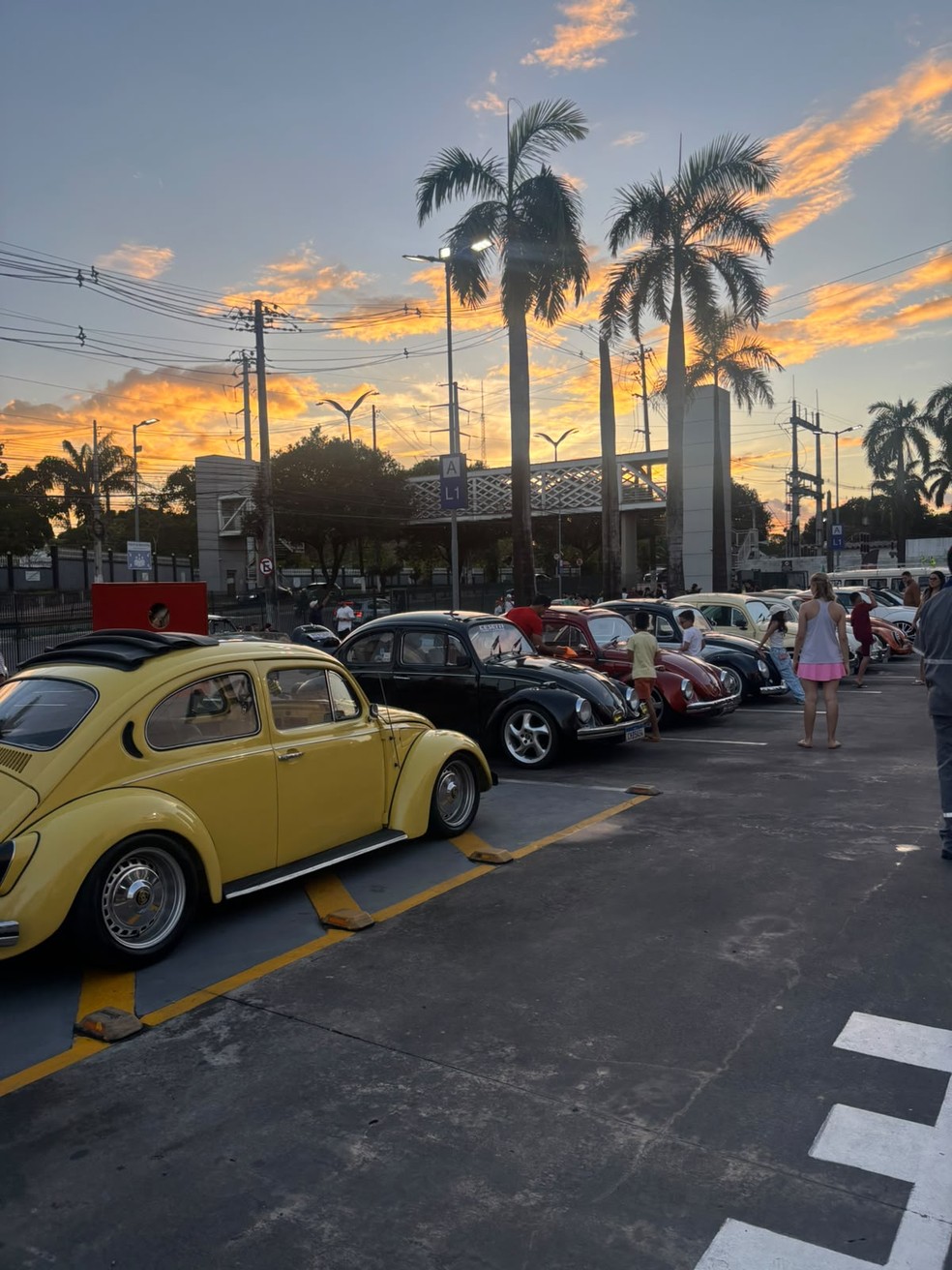 Encontro de carros antigos reúne entusiastas de automóveis na capital amazonense neste fim de semana. — Foto: Divulgação