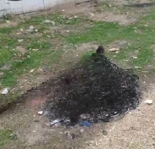 Corpos são encontrados nas proximidades da Av. Martin Luther King Jr, entre Irajá e Vicente de Carvalho