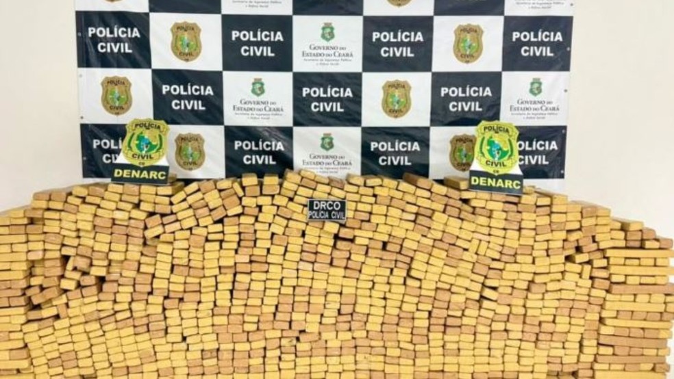 Polícia apreendeu 2,5 toneladas de maconha em Cascavel e Pindoretama, na Região Metropolitana de Fortaleza. — Foto: Polícia Civil/ Divulgação