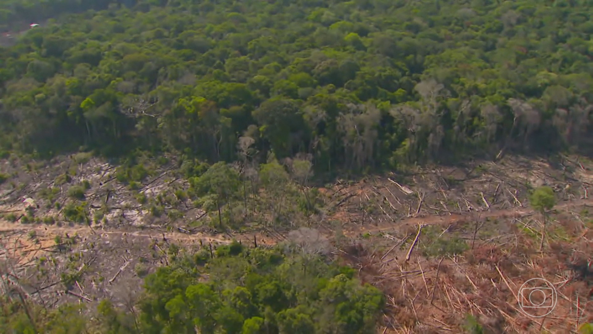Combate a trabalho escravo e compromissos ambientais: pecuaristas aderem a projeto que busca frear desmate no Cerrado