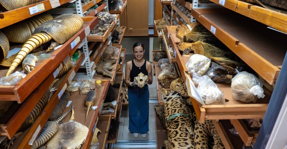 Museu Goeldi, em Belém, abriga uma das maiores coleções de mamíferos da América do Sul, com quase 47 mil espécimes